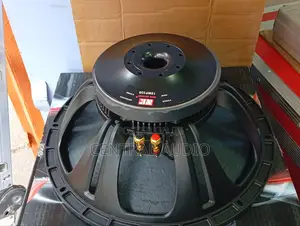 Nr 15inch Naked Speaker