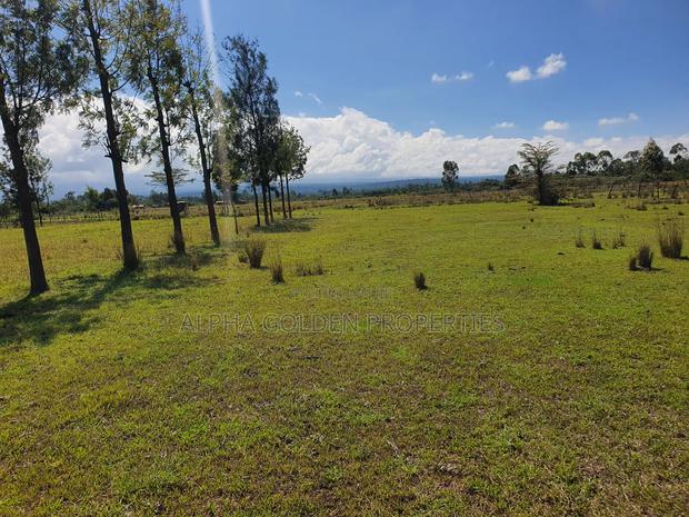 1 Acre Behind Nanyuki Airstrip - thumbnail 2
