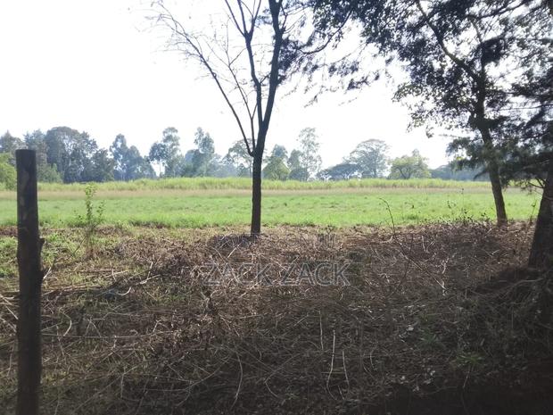 Land for Sale - thumbnail 3