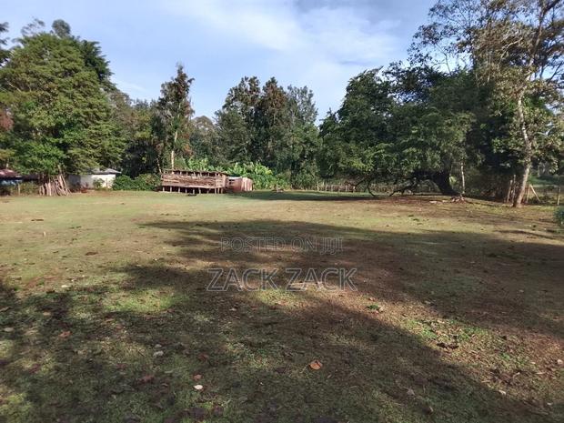 Land for Sale - thumbnail 5