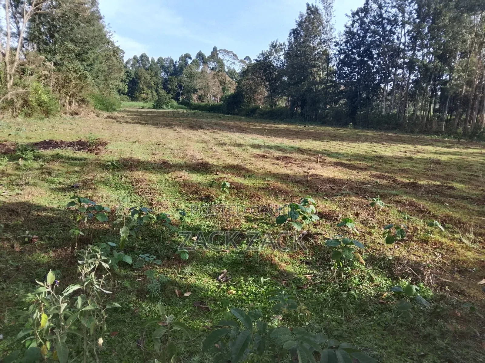 Land for Sale