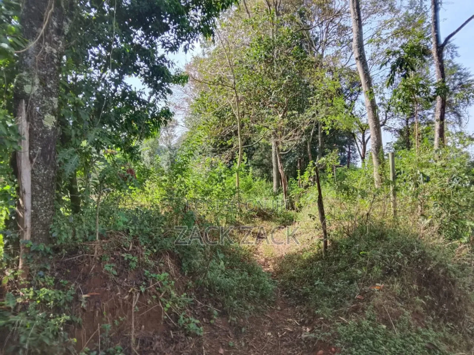 Land for Sale