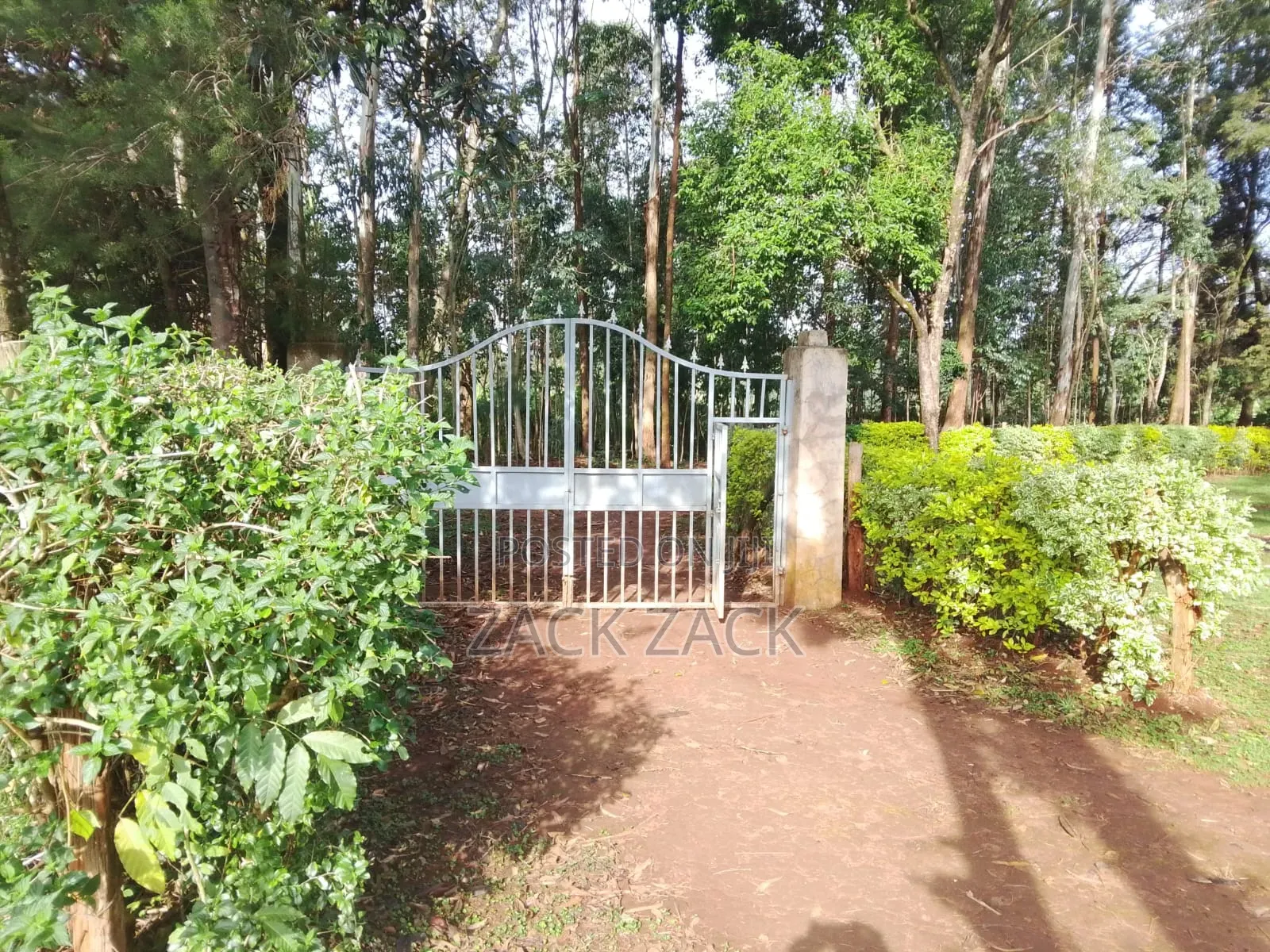 Land for Sale