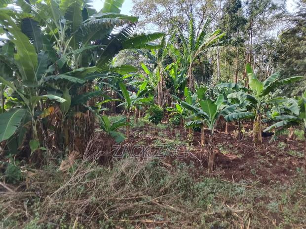 Land for Sale - thumbnail 13