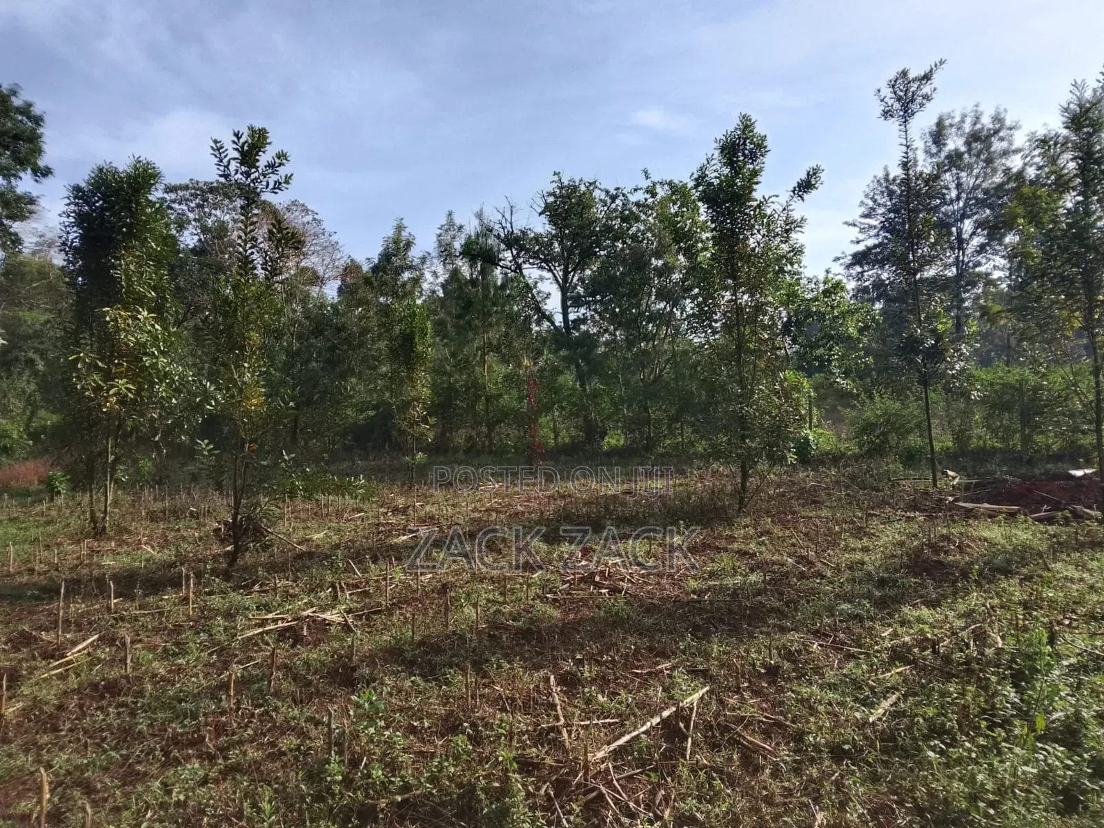 Land for Sale