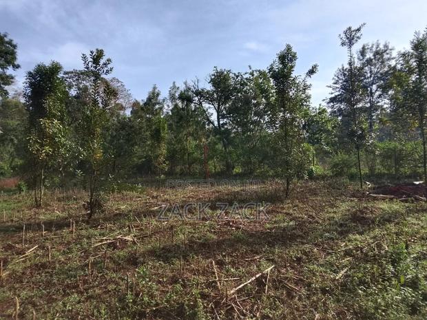 Land for Sale - thumbnail 14