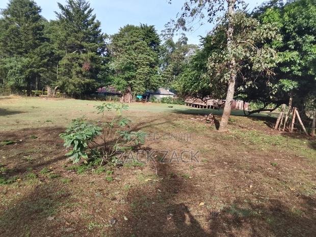 Land for Sale - thumbnail 15