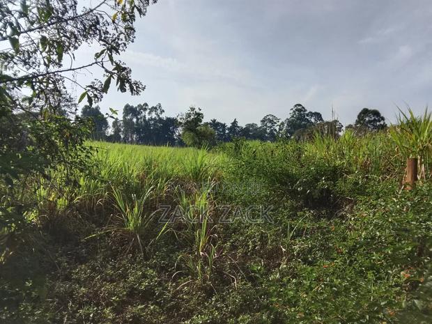 Land for Sale - thumbnail 16