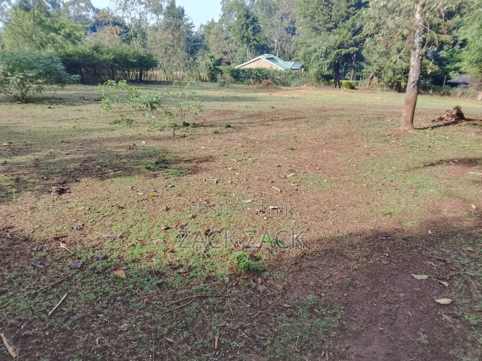 Land for Sale