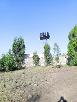 Kamulu Plot for Sali at Kanisani Stage