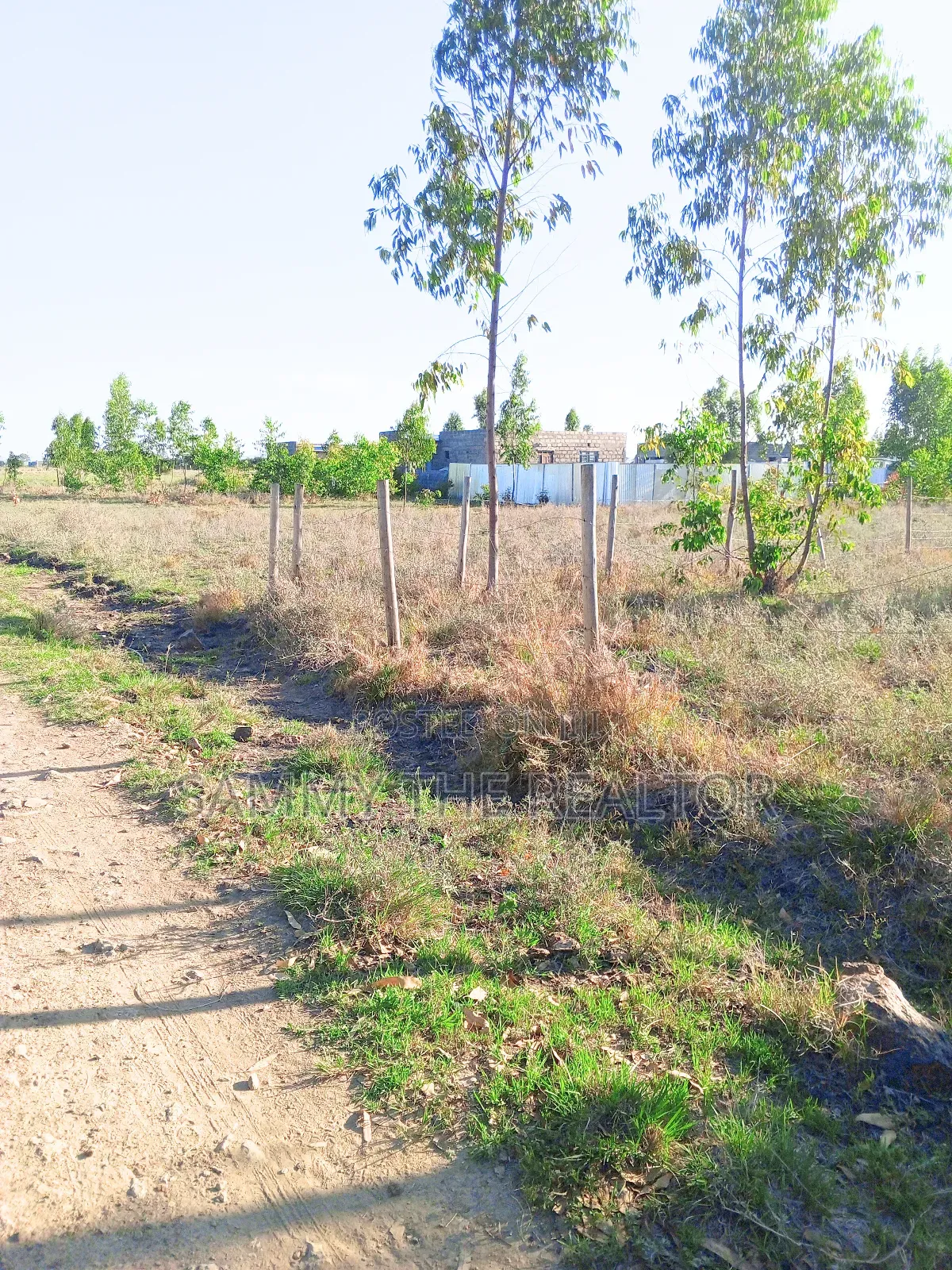 Kamulu Plot for Sali at Kanisani Stage