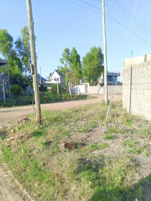 Kamulu Plot for Sali at Kanisani Stage