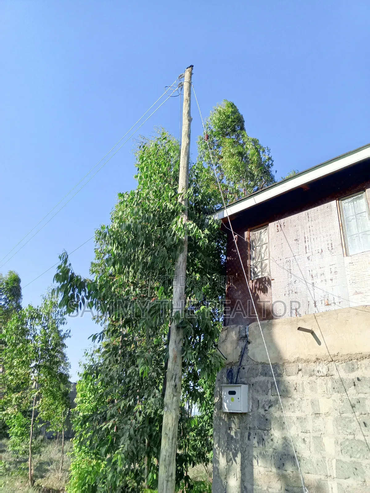 Kamulu Plot for Sali at Kanisani Stage