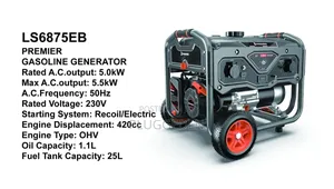 Premier Ls6875eb Gasoline Generator. 5.5kw