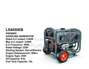 Premier Ls4050eb Gasoline Generator.