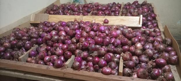 Onions/Vitunguu Wholesale - thumbnail 4