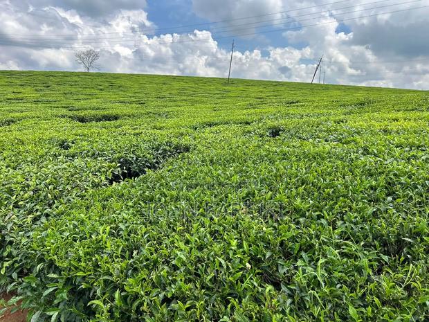 64 Acres Touching Tarmac Ndumberi Limuru Rd at 20m Per Acre