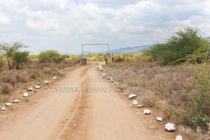 Tinga Farm - thumbnail 2