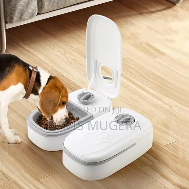 Pop-Open Timed Automatic Pet Food Feeder, Wet or Dry, 1 and 2 Meals - main view