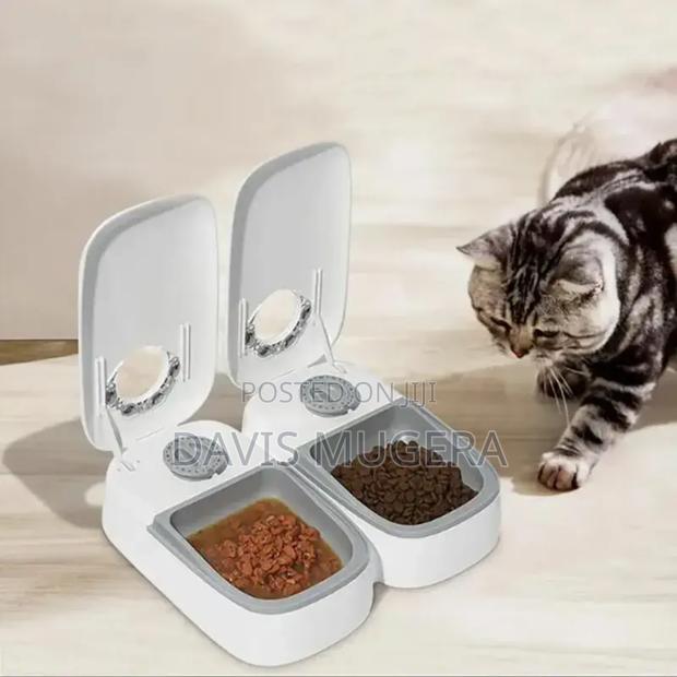 Pop-Open Timed Automatic Pet Food Feeder, Wet or Dry, 1 and 2 Meals - thumbnail 3