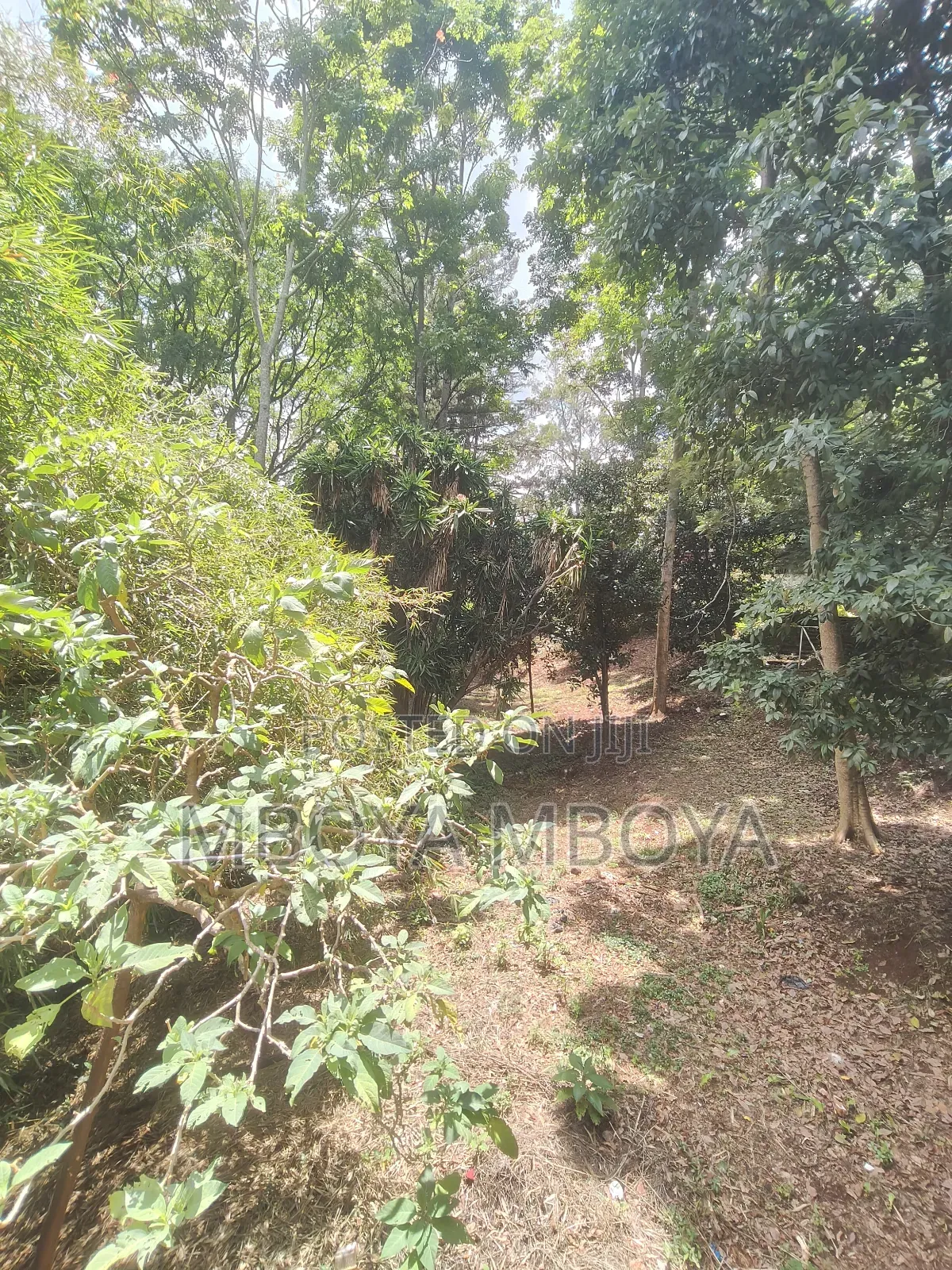 Prime Land for Sale and for J.V Along Peponi Road