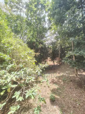 Prime Land for Sale and for J.V Along Peponi Road