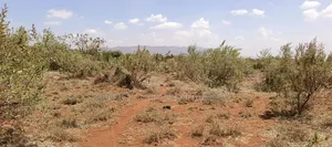 Quarter Acre Plot for Sale in Ngong Kimuka- Maroroi