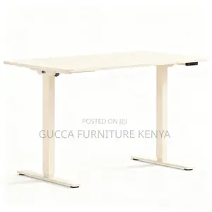 Electric Motorized Standing Office Desk-1200mm