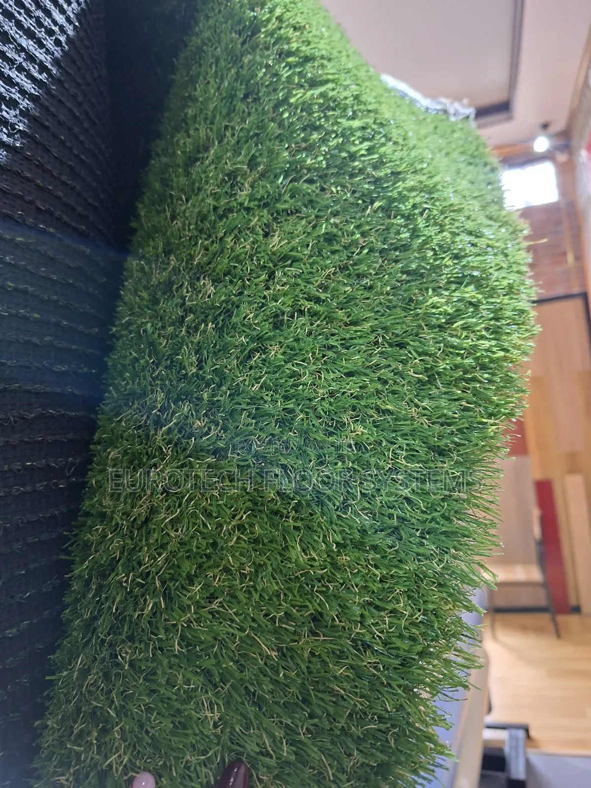 Grass Carpet/Artificial Grass