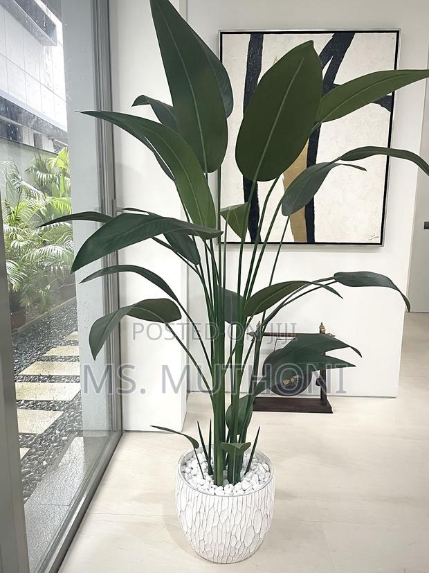 Faux Real Touch Decorative Steritizia Plant