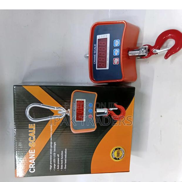 500kg Mini Crane Scale