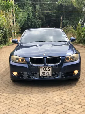 BMW 320i 2011 Blue