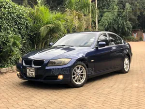 BMW 320i 2011 Blue