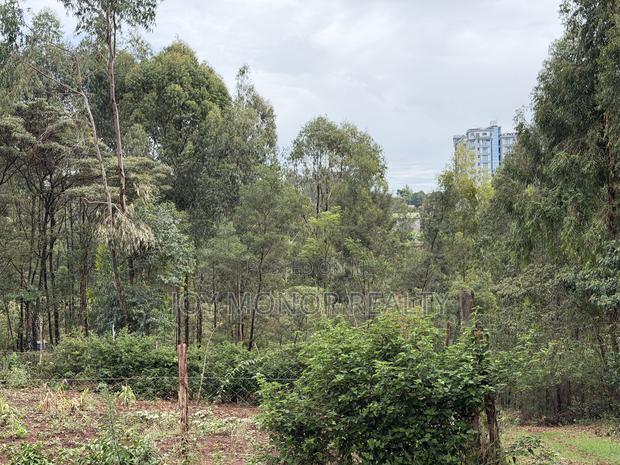 50by100plot for Sale - thumbnail 6