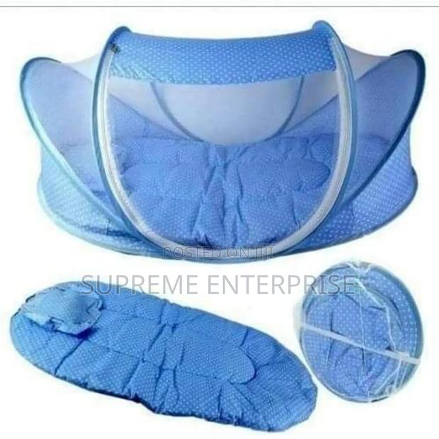 Blue Baby Walker