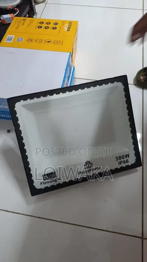 300w AC Floodlight