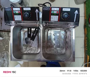 Double Macro Electric Fryer