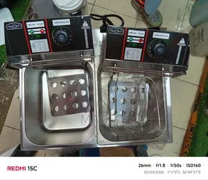 Double Macro Electric Fryer
