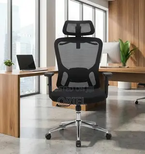 Office Chair : Adjustable, Breathable Mesh Ergonomic Office Chair