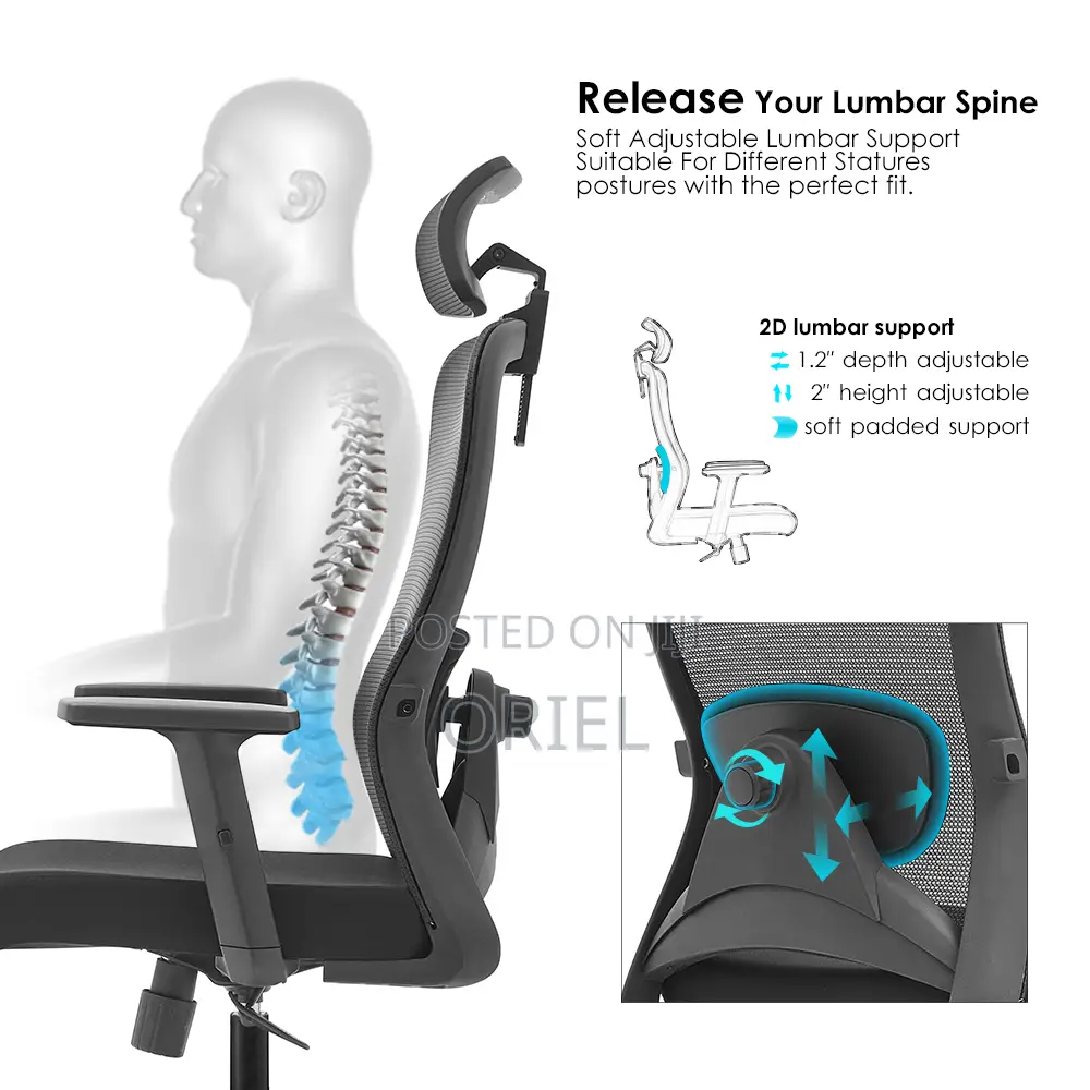 Office Chair : Adjustable, Breathable Mesh Ergonomic Office Chair