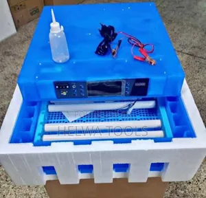Eggs Incubator, 64" Eggs