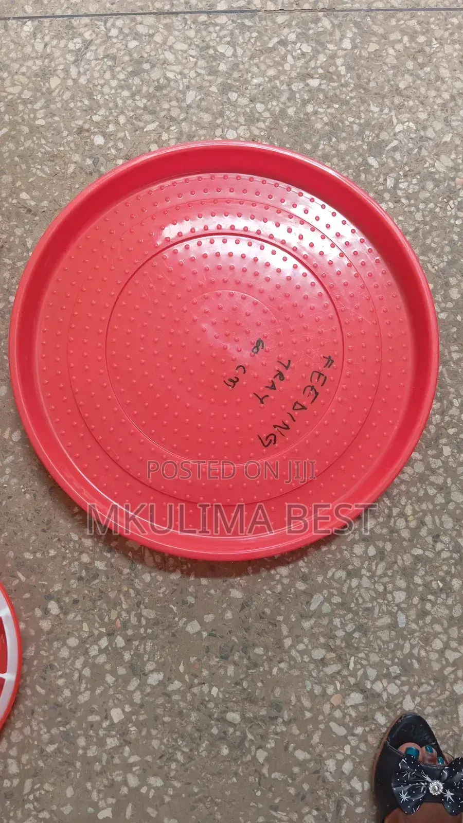 Feeding Trays 50cm