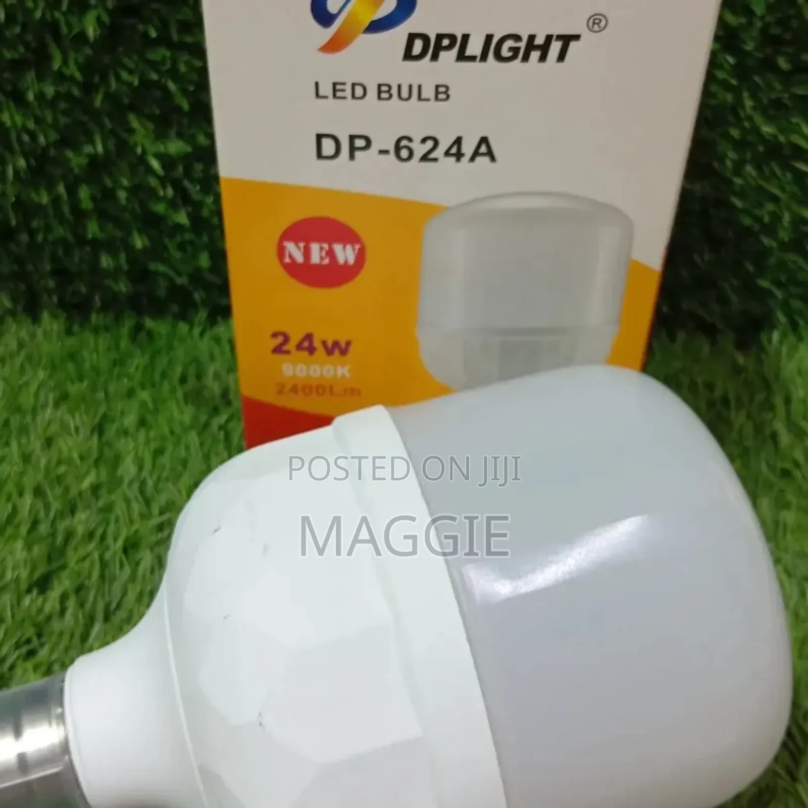 Light Bulb Dplight 24w