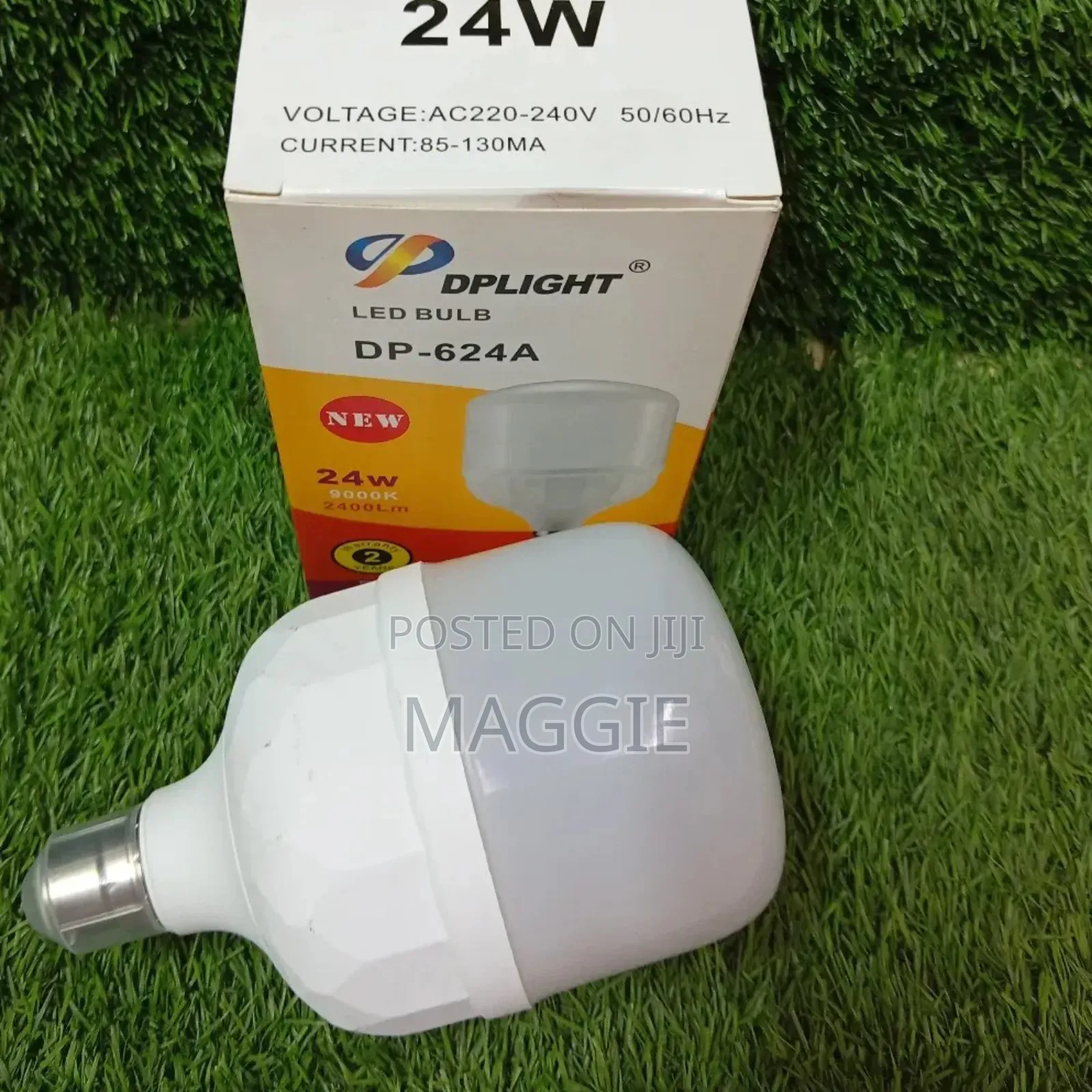 Light Bulb Dplight 24w