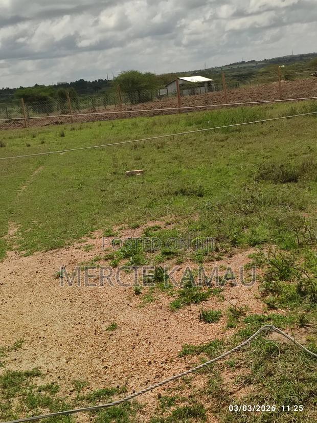 Umma University Lands for Sale - thumbnail 2