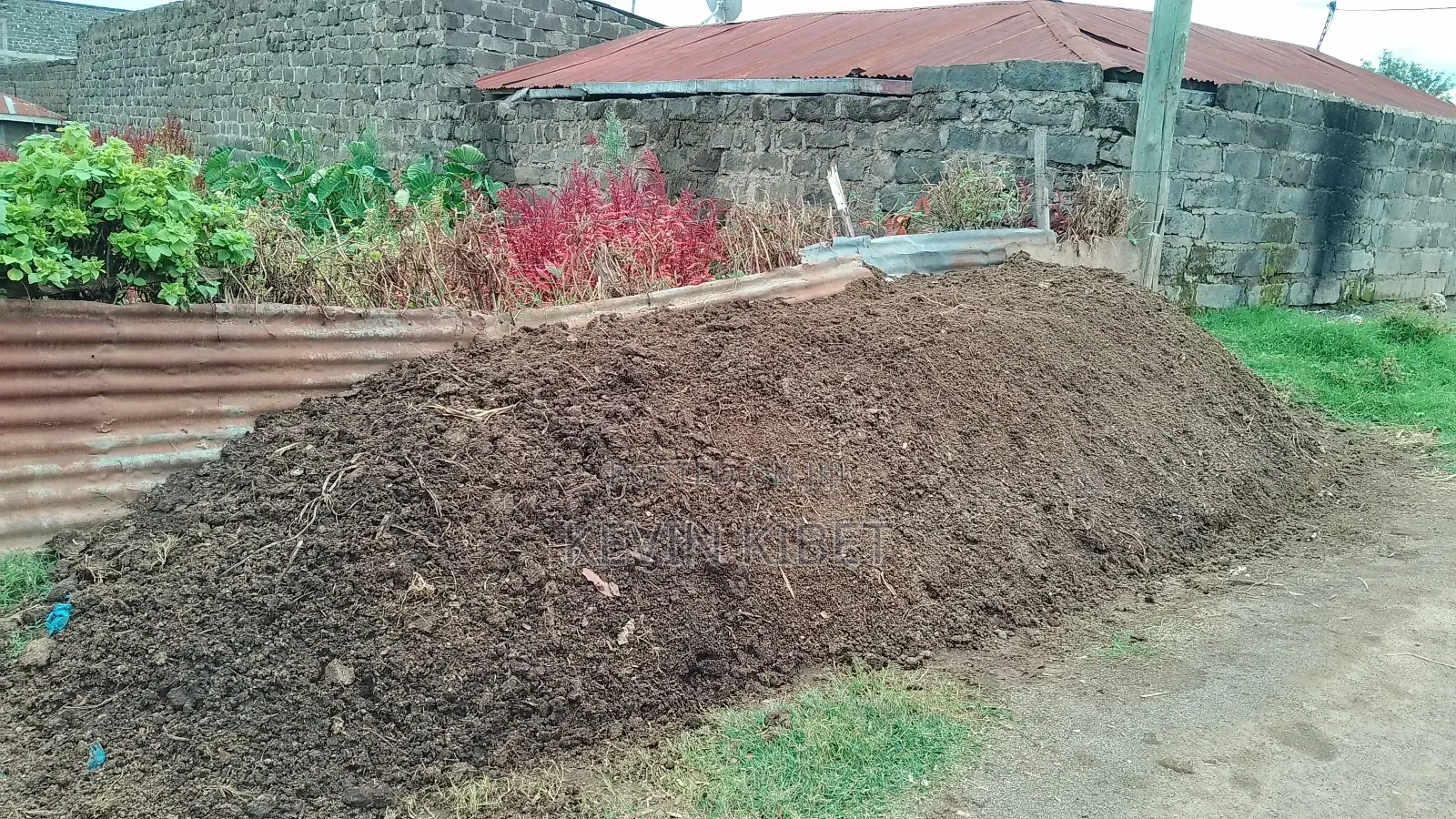 Organic Manure