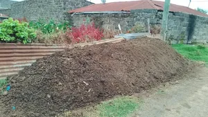 Organic Manure
