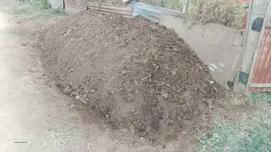 Organic Manure