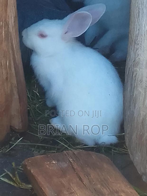 Farming Produce - main view