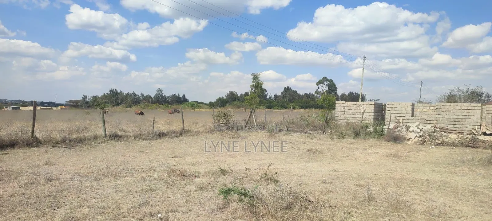 Plots for Sale